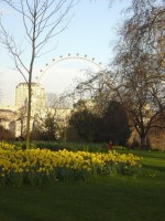 /album/inghilterra/london-019-jpg/